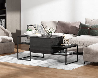 Inhabit Top Lift Coffee Table With Storage Spaces & Shelves