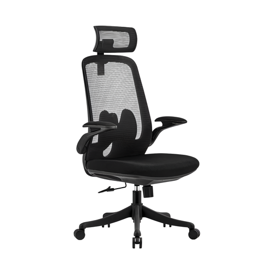 Inhabit Ergonomic Performance Adjustable Chair