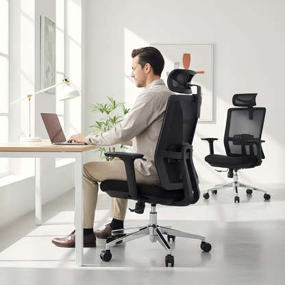 Inhabit Alpha Ergonomic Adjustable Chair